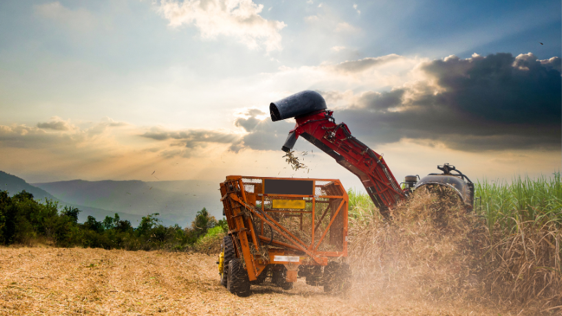 Na visão de Aldo Vendramin, produtividade responsável é fruto de decisões conscientes que equilibram solo, fauna e resultados econômicos.