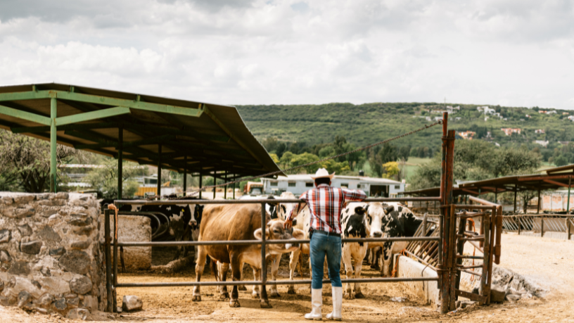 Entenda, com João Eustáquio De Almeida Junior, de que forma escolhas de consumo mais responsáveis estão transformando a produção de carne.