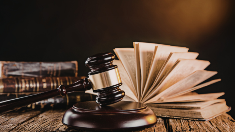 Sindnapi - Sindicato Nacional dos Aposentados, Pensionistas e Idosos