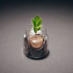 Planta verde crescendo em um recipiente com moedas, simbolizando a relação entre sustentabilidade e investimento financeiro
