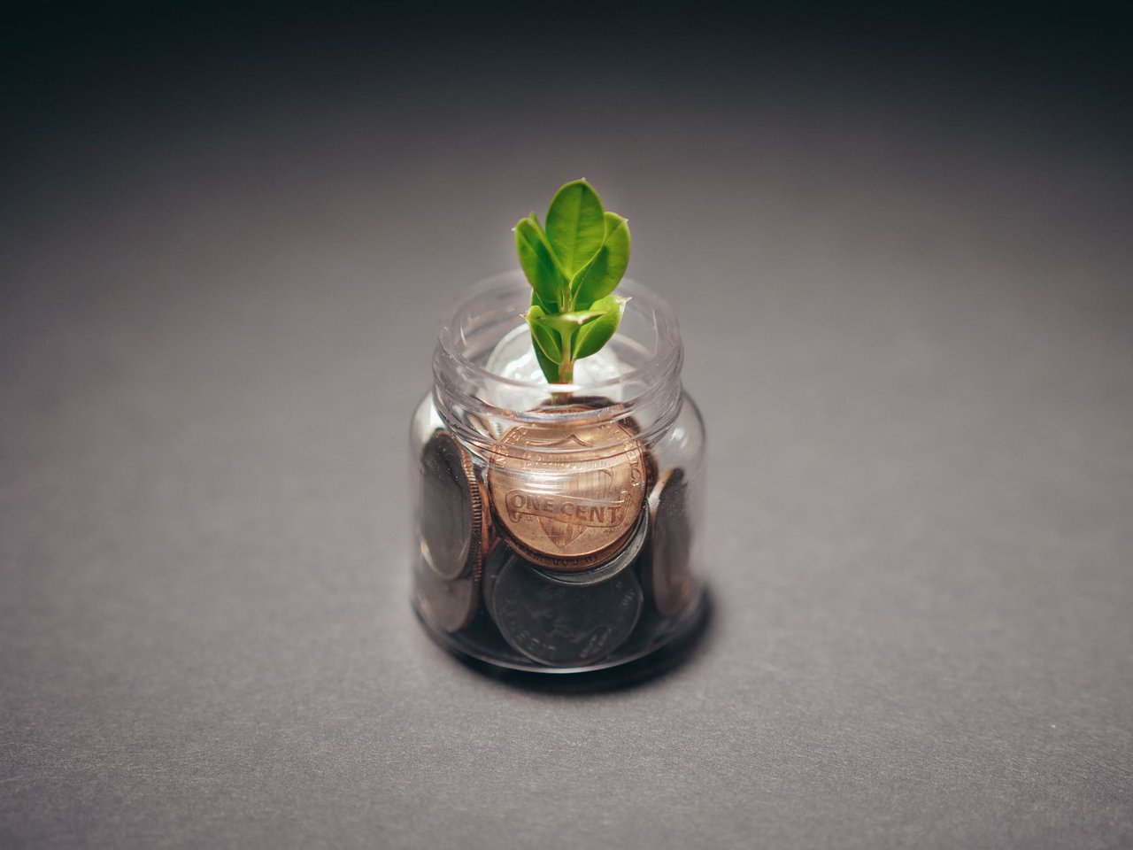 Planta verde crescendo em um recipiente com moedas, simbolizando a relação entre sustentabilidade e investimento financeiro