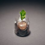 Planta crescendo em um recipiente com moedas, simbolizando investimento e desenvolvimento sustentável.