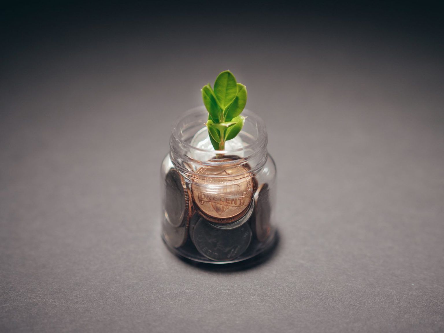 Planta crescendo em um recipiente com moedas, simbolizando investimento e desenvolvimento sustentável.