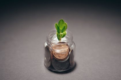 Planta crescendo em um recipiente com moedas, simbolizando investimento e desenvolvimento sustentável.